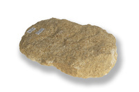 M 02635
<br/>
<br/>
<em></em>